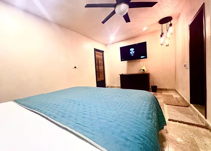 Apartment Kasa